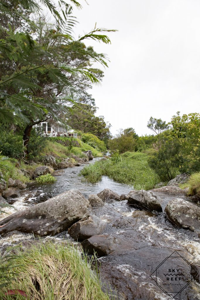The stream behind Anna's Ranch