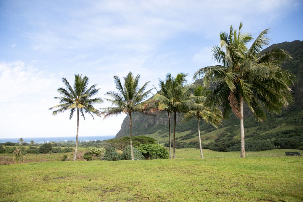 the view at Jumanji Kualoa new popular wedding venue