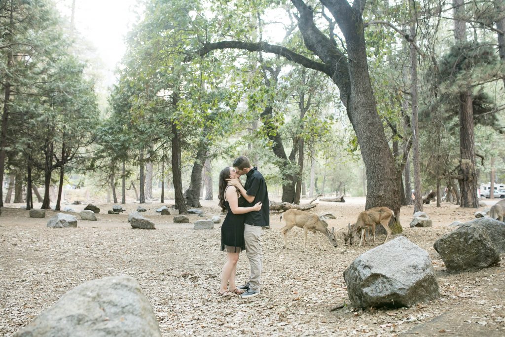 couple kiss with deer in Yosemite
