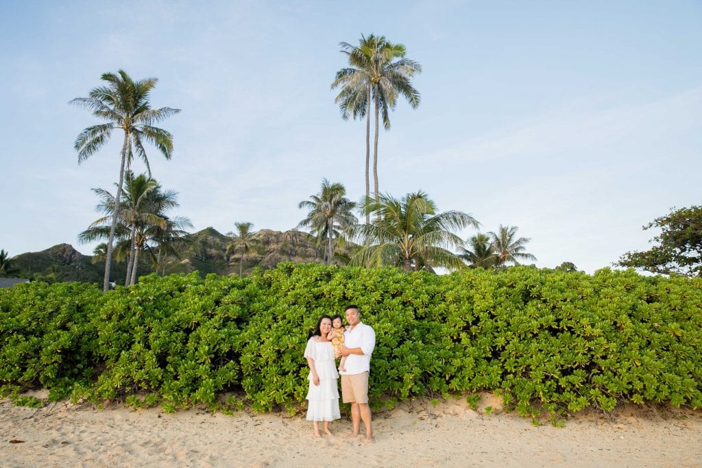 family photographer green palm trees